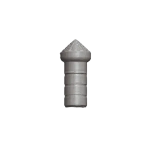 Check Valve